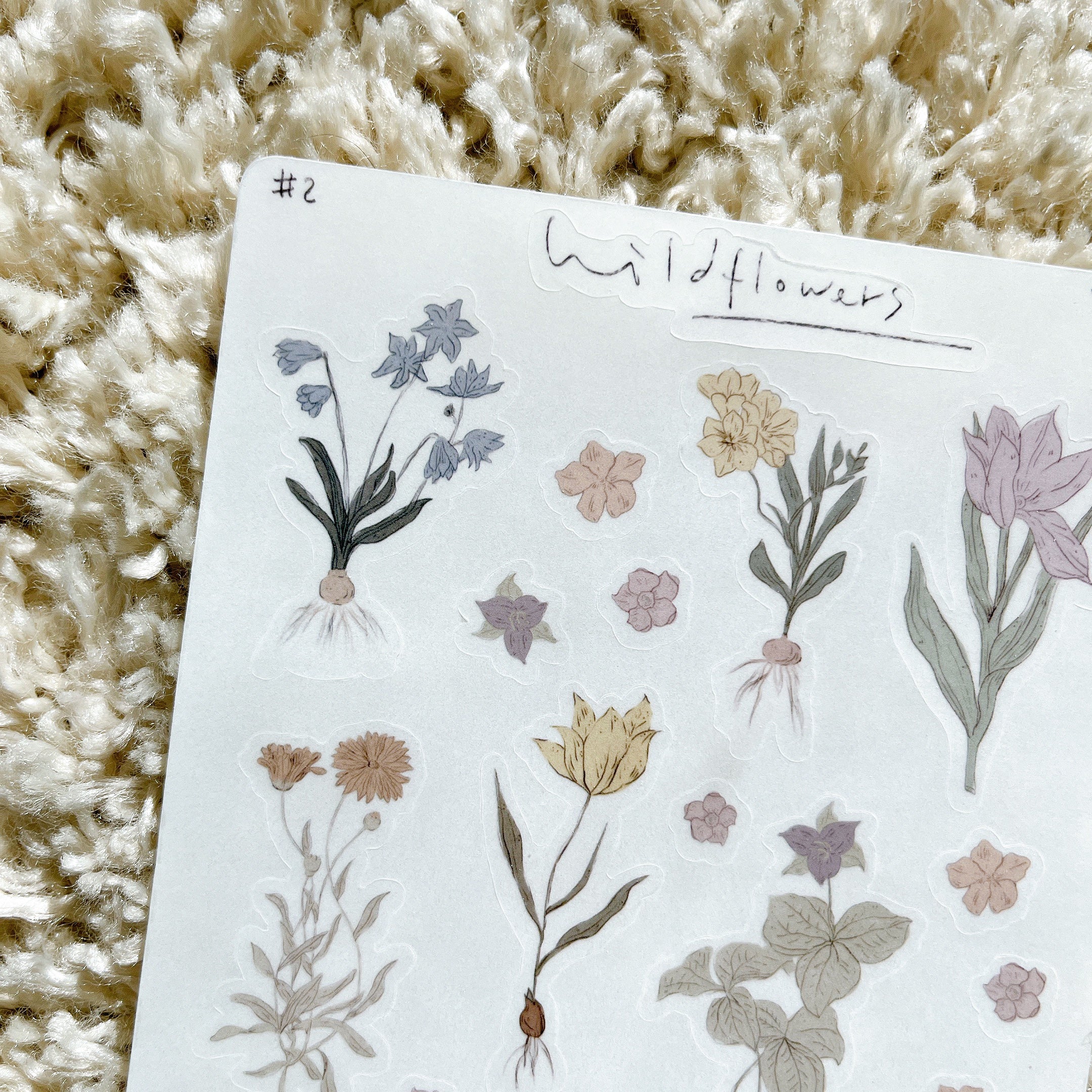 sticker sheet | wildflowers #2 |